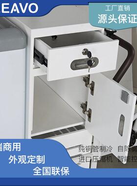 倒骑式小车设计时尚复古冰淇淋售卖车冰激凌移动售卖车直冷雪糕车