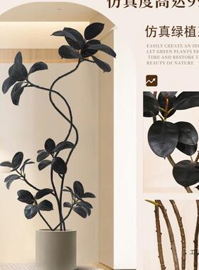 绿F98JJS55植大型客厅内落地摆件室黑沙橡发电视柜旁边假植物金刚