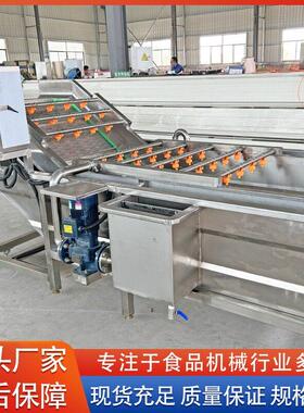厂家供应茼蒿清洗机设备 全自动芸豆清洗机设备  四季豆清洗机