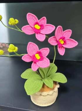 手工编织蝴蝶兰盆栽花朵家居摆件仿真花车载摆件成品