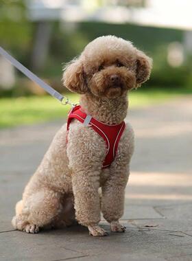 Dog Harness Leash Set for Small Dogs Adjustable Puppy Cat Ha