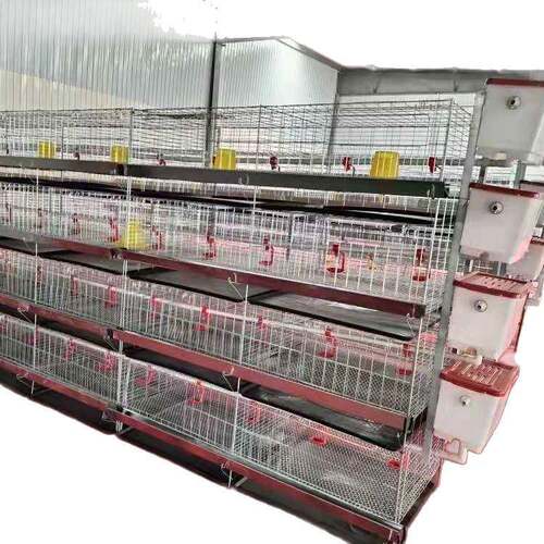 现货立式四层小鸡笼育雏鸡笼层叠式养鸡笼养鸡设备养殖场鸡舍用 - 图3