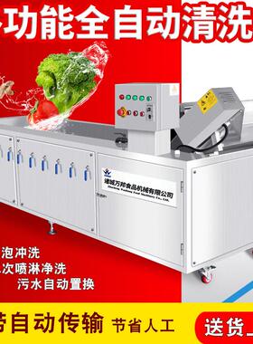 现货苏子叶清洗机 商用全自动紫苏子臭氧清洗机 食品加工清洗机