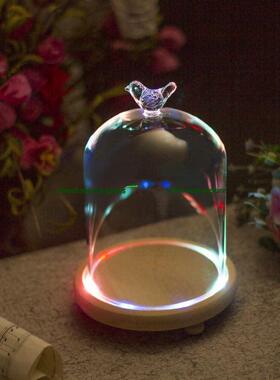 简约现代家居装饰玻璃防尘罩底座与浅色客厅桌面装饰