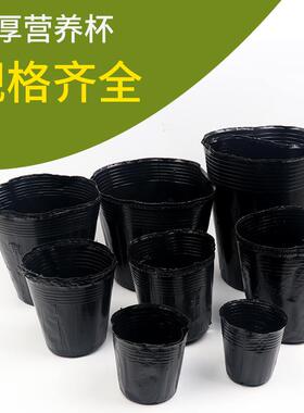 营养钵营养杯育苗杯一次性加厚黑色种植育苗盆营养袋育苗袋大小号