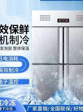 218.5四门六门冰箱商用冰柜厨房冷藏立式展示柜四门六门冰箱商用