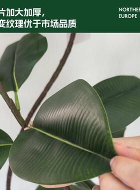 黑金刚橡皮树彷真绿色植物高级感客厅盆栽假植物沙发旁落地摆件装