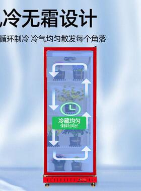 冷饮柜超市便利店冰镇饮料柜风冷娃哈哈矿泉水饮料展示柜冷藏柜