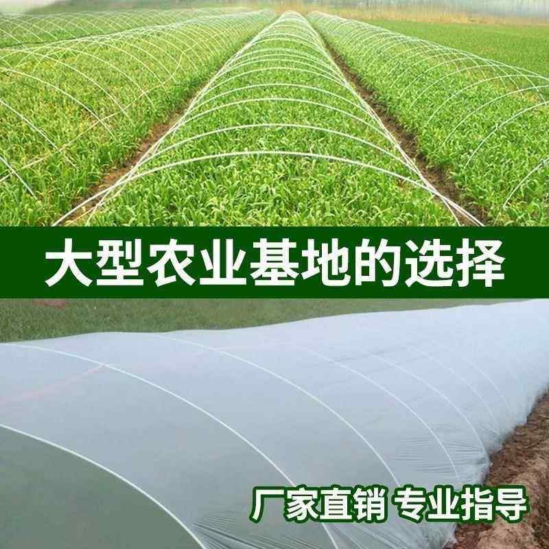 玻璃钢纤维支架高弹力骨架农膜蔬菜拱棚杆支撑条套棚园艺大小弓子,淘宝优惠券,粉丝福利购,淘宝优惠卷