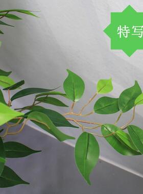 高端彷真绿色植物榕树高端轻奢彷生植物盆栽假树客厅落地大型摆件