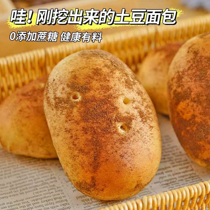 康泉 奶酪味夹心土豆面包0蔗糖代餐营养早餐面包商超同款零食品