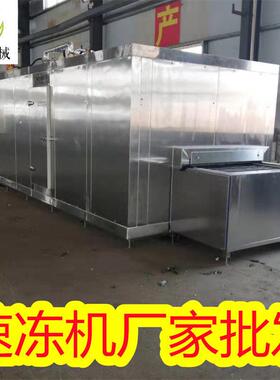 供应全自动网带冻机 速冻杂粮成套流水线 山丁速冻机厂家地址