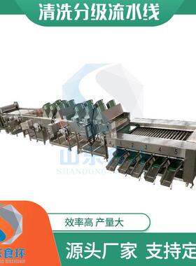 橙子柠檬洗小柑橘清洗分级食环流水线 金 沃小橘清分级柑流水线厂