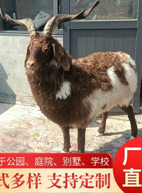 彷真绵羊模型真皮毛绒动物工艺礼品摆饰公园庭院展品摄影奶粉店摆
