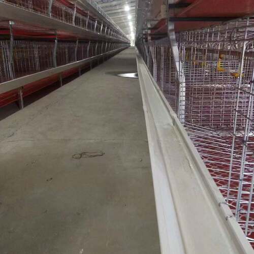 鸡笼肉鸡笼全自动半自动立式肉鸡笼养殖场用自动肉鸡笼H型肉鸡笼 - 图2
