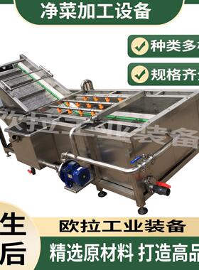 西葫芦小油菜清洗线加工设备 全自动海产品脱盐清洗机 净菜生产线