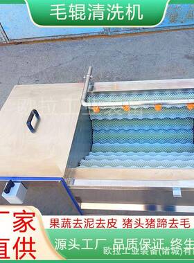 夏威夷果抛光磨欧拉皮设备 珊瑚萝卜清洗机 全动辊沙自参清洗去毛