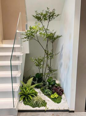 仿真植物造景高级假树楼梯下空间布置大型仿生绿植玄关装饰品摆件
