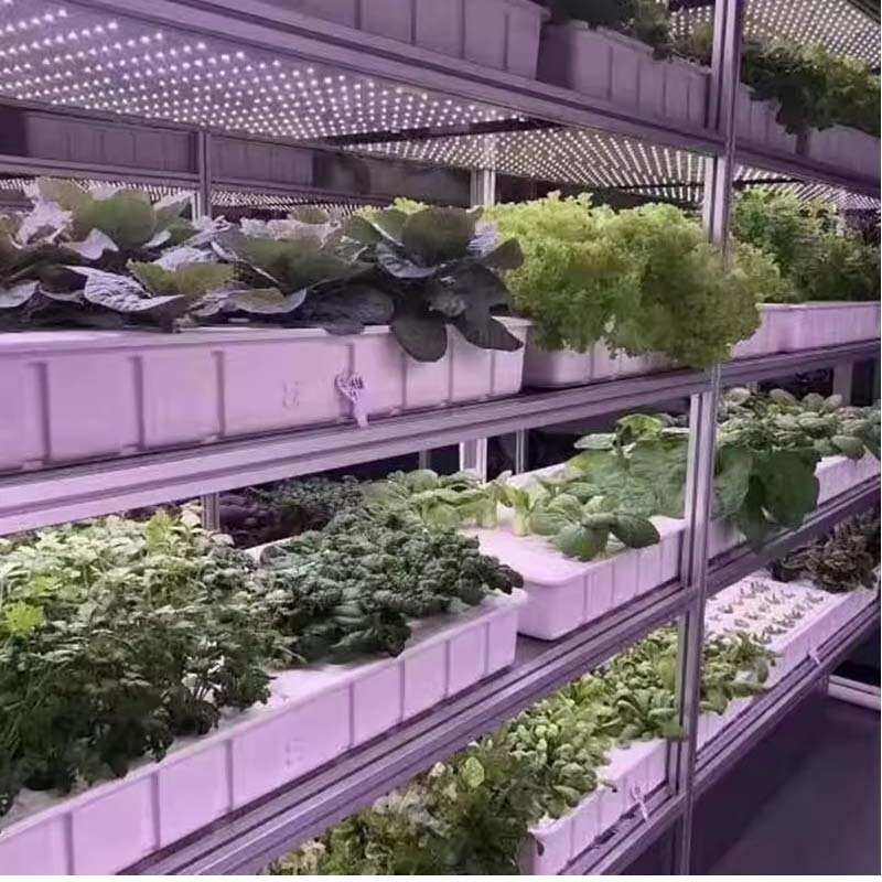 潮汐苗床兰花卉苗床网ABS面板温室大棚立体移动育苗床潮汐托盘,淘宝优惠券,粉丝福利购,淘宝优惠卷