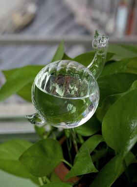 创意家用彩色玻璃浇花器绿植自动球浇水盆栽摆件园艺工具卡通异形