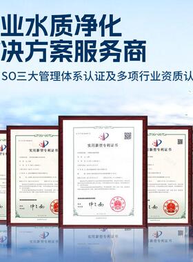RO超纯水处理设备单级双级超纯水设备工业一级水处理净水处理设备