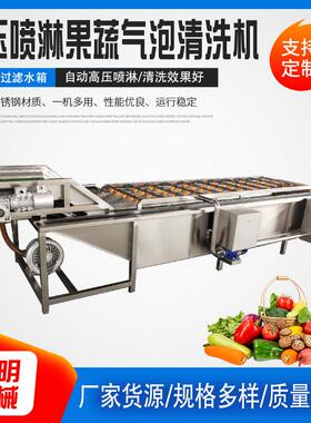气泡清洗机喷淋式杨梅溜溜梅脱盐清洗机小型青梅清洗风干设备