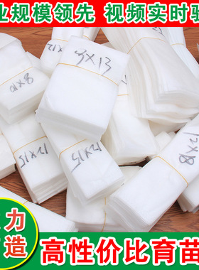 无纺布育苗批发降解容器热销花瓶