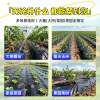 Special black mulch film for growing vegetables, thickened insulation vegetable garden weeding agricultural film, farmland covering fruit trees and vegetables plastic film