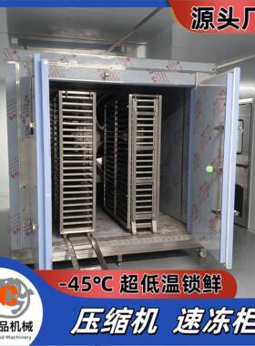 商用海鲜隧道式速冻机章鱼低温速冻设备蛏子扇贝制冷设备广辰