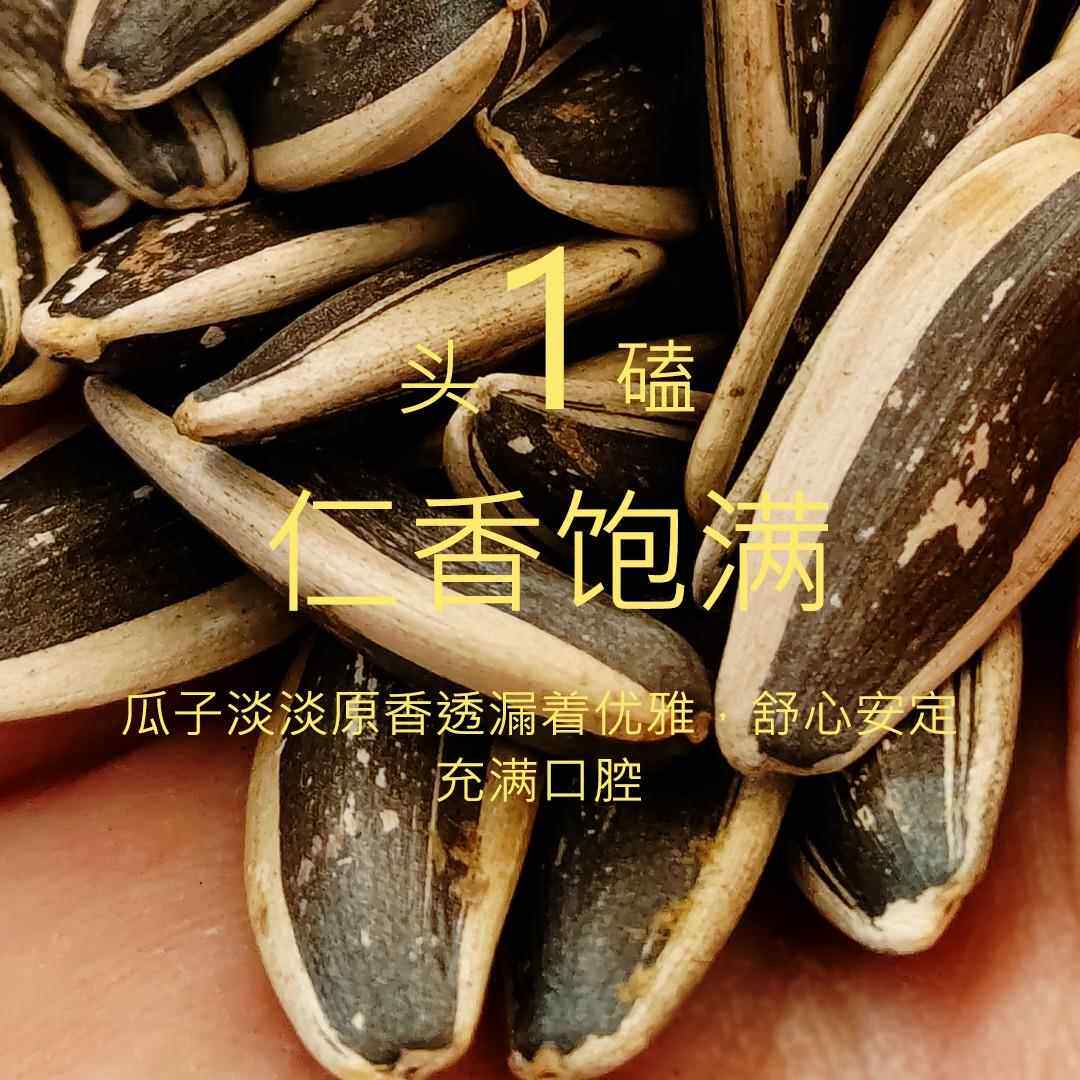 甘肃民勤沙城原味瓜子葵花子210g精选大颗粒葵花籽炒货休闲零食