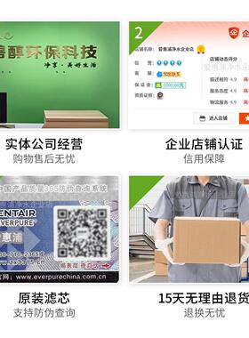 爱惠浦净水器商双用专C2M联净水器大流量奶mc2双联茶店咖啡店用直