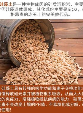 硅藻土颗粒多肉拌土铺面绿植营养硅藻颗粒土烧赤玉土硬质不易粉化