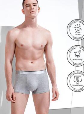 Boxer Male Panties Men's Underwear Boxers Breathable Sex