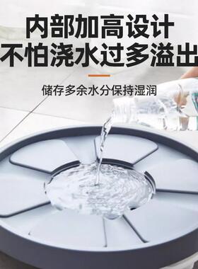 移动花盆托盘透气带轮底座圆接水盘花盘底托盘万向轮塑料滚轮加厚