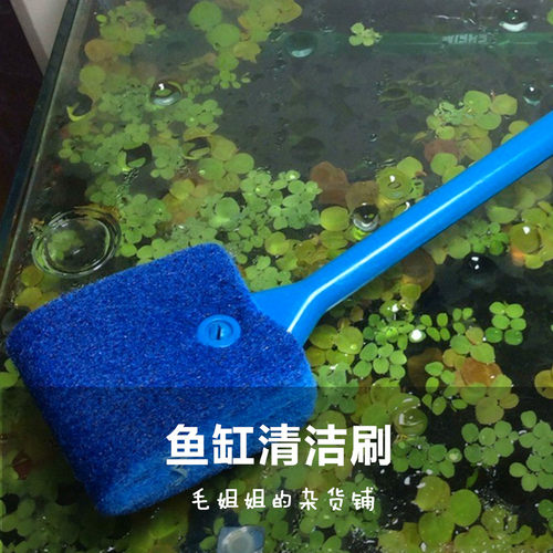 信友鱼缸刷水族鱼缸清洁水箱清洁刷 草缸鱼缸清洁用品除藻刮藻 - 图0
