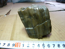 8114 the surface silicated wood of the Hama Great South Lake in Xinjiang 8114