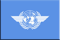 Unframed Painting Decoration Painting Conference Room Meeting Room Office Hang Painting Book Board Mural International Civil Aviation Organization Flag