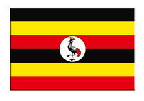 Frame-free painting Decorative Painting Hanging painting and painting Calligraphy And Painting Board Meeting Room Martial Arts gymnasium Competition World Flag Uganda