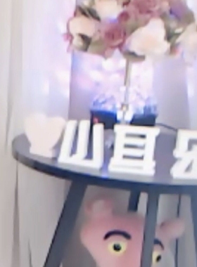 网红主播背景视频名字个性摆件