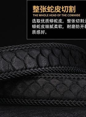 皮带蟒蛇皮男休闲不带头