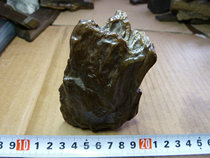 8140 the surface silicated wood of the Hama Great South Lake in Xinjiang 8140