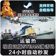 Steam模拟飞机 新人首单立减十元 21年8月 淘宝海外