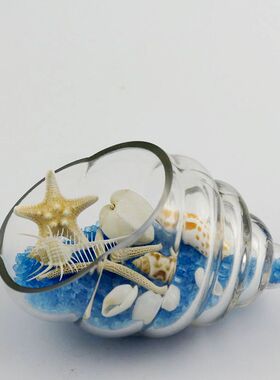 海螺贝壳工艺品木塞玻