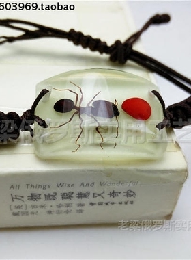 红豆昆虫长方形寓意只有你手链