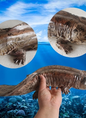 鱼模型餐厅仿真鱼树脂装饰淡水鱼