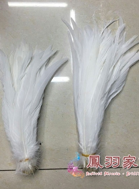 鸡毛天瑞羽毛天然真羽毛