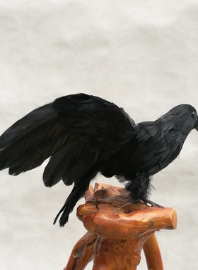 鬼节派对话剧电影拍摄羽毛鸟道具