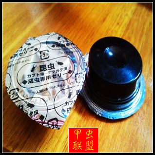甲虫独角仙兜虫昆虫蚂蚁高营养果冻黑糖蛋白口味 促销满2包送台子 - 图0