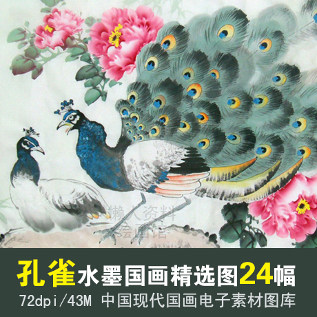 孔雀国画图片素材 水墨牡丹孔雀开屏高清大图 花鸟美术绘画电子图