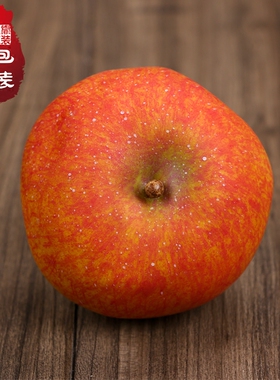 高级仿真水果假苹果红富士模型超逼真 水果店1比1大小 丁峰包装
